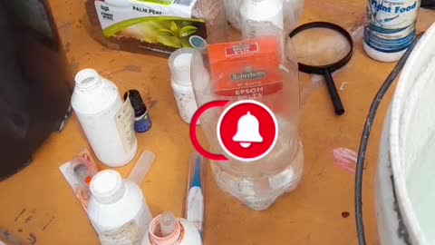 PH TESTING MOUNTAIN WATER