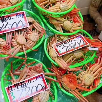 🦀 Crab #WitchPeace #HimalayaJapanGalaxy