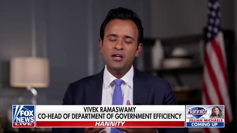 Vivek Ramaswamy speaks on leading DOGE with Elon Musk: 'We're playing big'