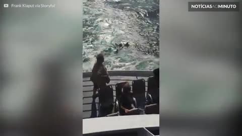 Família é salva após barco pegar fogo em alto mar