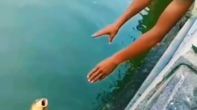 This is a beautiful and charming water-dwelling species