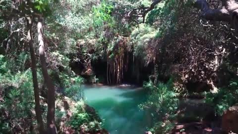 Wildlife Beautiful Nature With Relaxing Music 4K