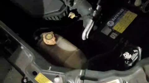 Motor em funcionamento renalt Clio 2008