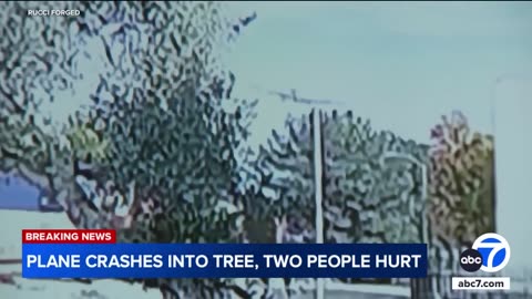 Plane shears off fire hydrant, crashes into tree in Fullerton