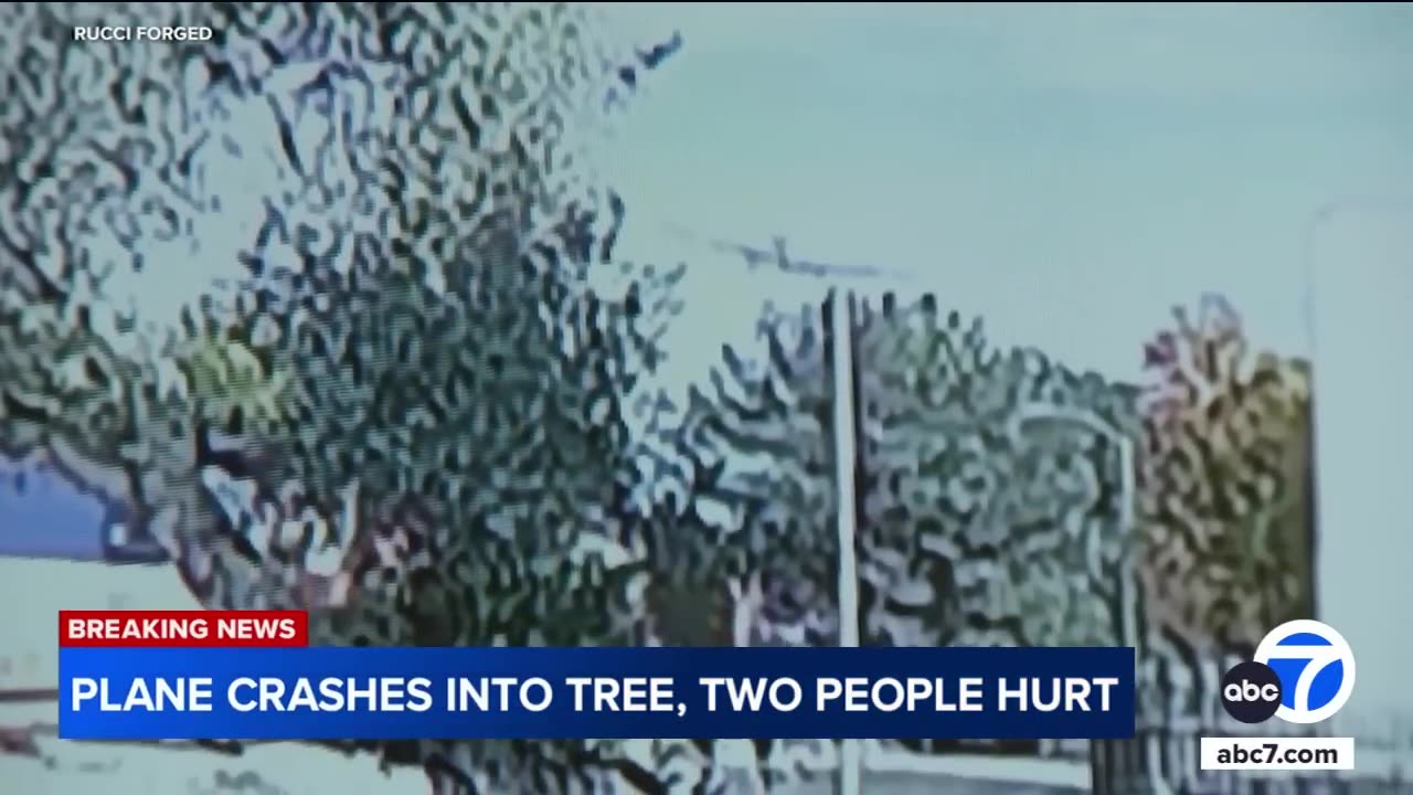 Plane shears off fire hydrant, crashes into tree in Fullerton