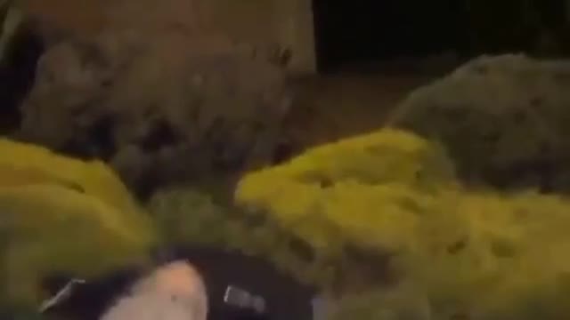 Drunk Man hilarious fall in garden
