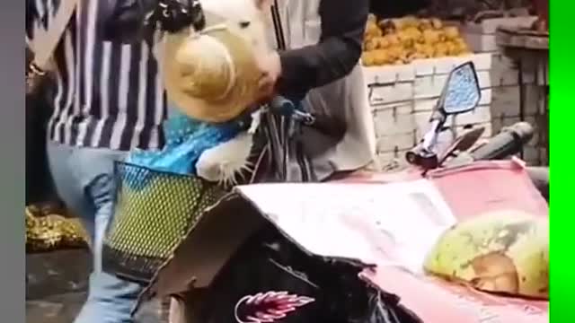 Ha, the hat is just the right size! # Uncle will always be an uncle #