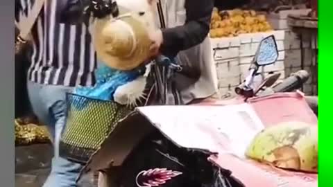 Ha, the hat is just the right size! # Uncle will always be an uncle #