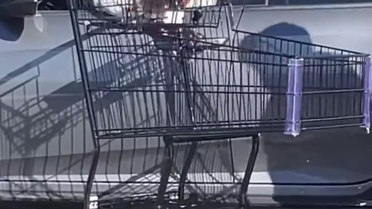 How to deal with a black woman throwing shit at you if you are a cop