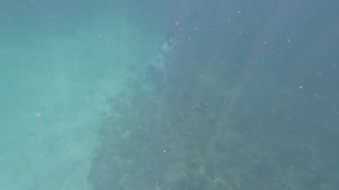 How to catch a lobster