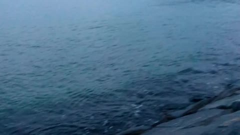 جمالك يا بحر