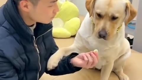 Funny & talented dog