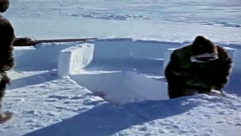 PRIMITIVE SKILLS, Eskimos Building Authentic Igloo