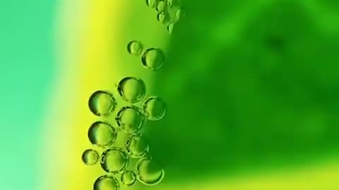 Real - time oxygen production in leaf