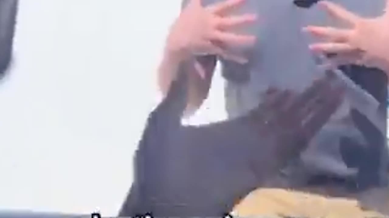 Crazy Male Karen Yells At Me