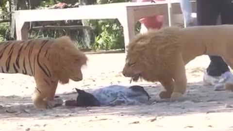 Funny prank