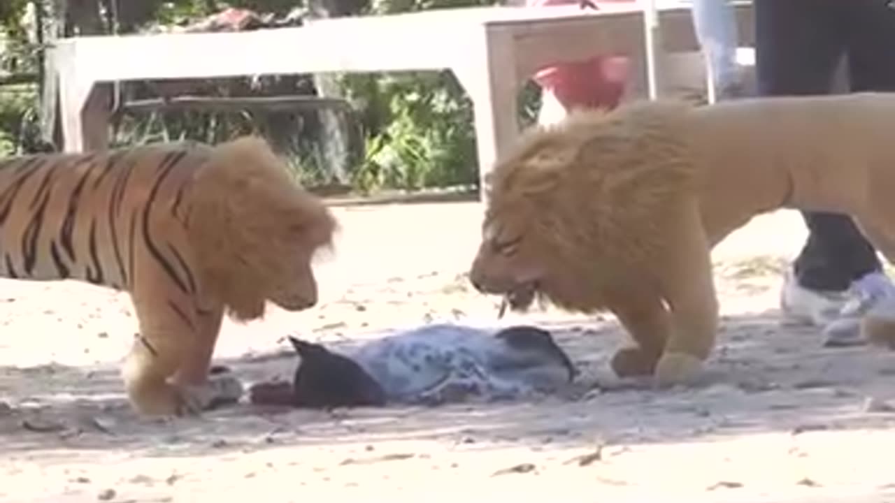 Funny prank
