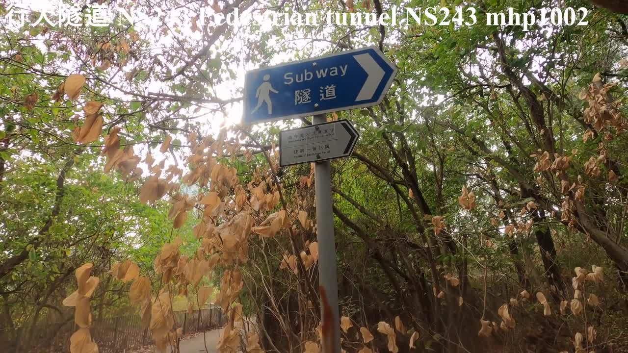 [漫遊元朗] 行人隧道 NS243, Pedestrian tunnel NS243, mhp1002, Jan 2021