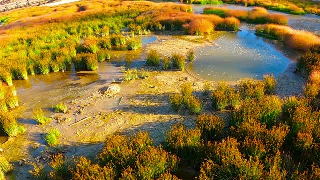 Mud Pits of Yellowstone