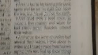 Revelation 10. Wormwood star