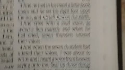 Revelation 10. Wormwood star