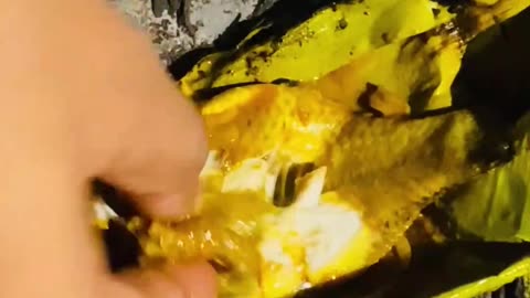 Fishing And Cooking #fish #cooking #fihsing #rumble