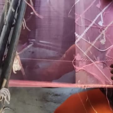 Handloom Saree Weaving Scene