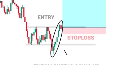 New trader vs pro trader