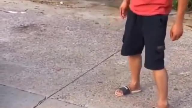 You must watch