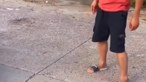 You must watch