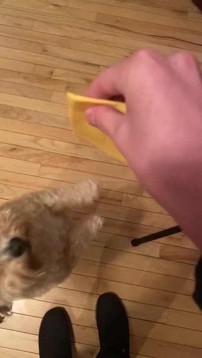 Gus Gets his Cheese