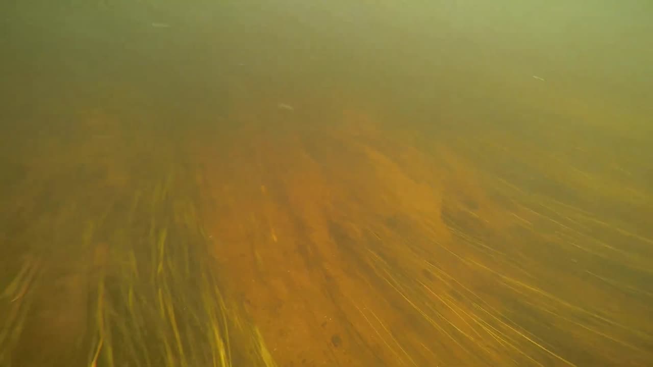 Underwater Adventure