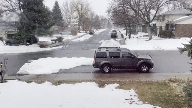 More spring storm in very snowy Colorado!!