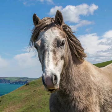 Mr Ed is back!! Tellin Truths!!!