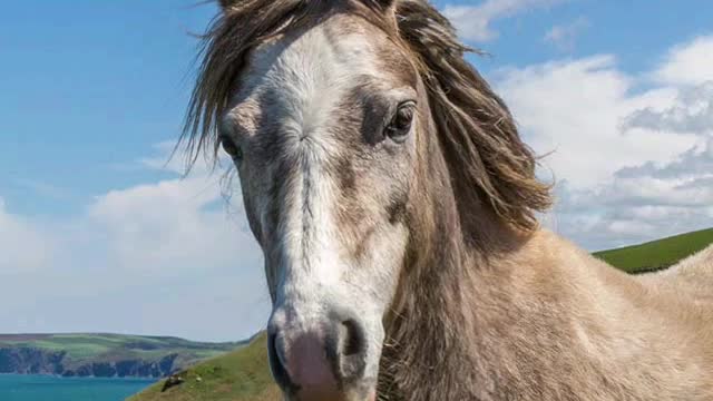 Mr Ed is back!! Tellin Truths!!!