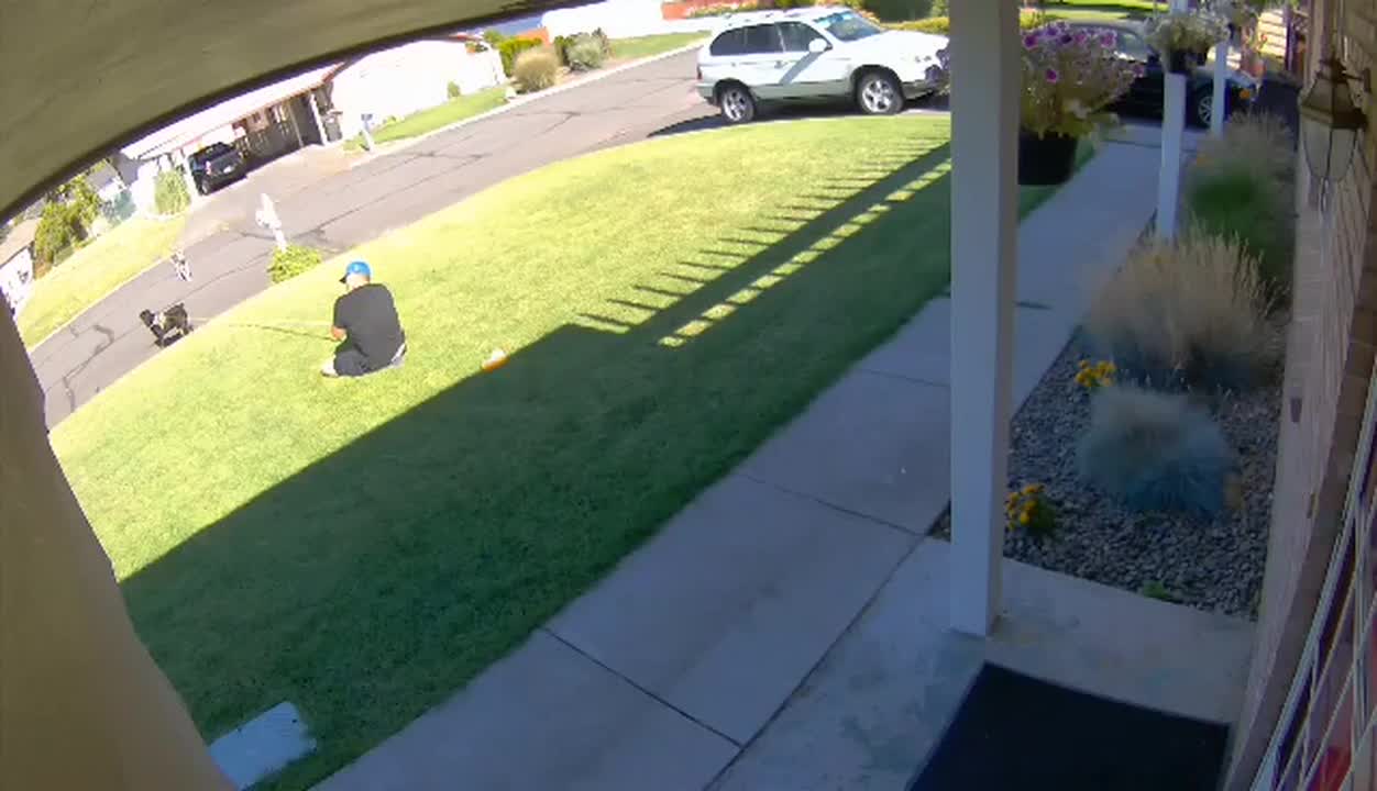 Pup Pulls Man Across Yard in Yakima