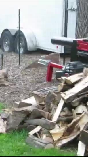 Border Collie/Australian Shepherd loves snow and logs #dog #animals #nature #528hz