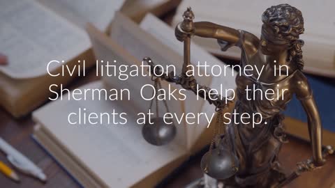 Kermisch & Paletz, LLP Sherman Oaks CA - Litigation Lawyer