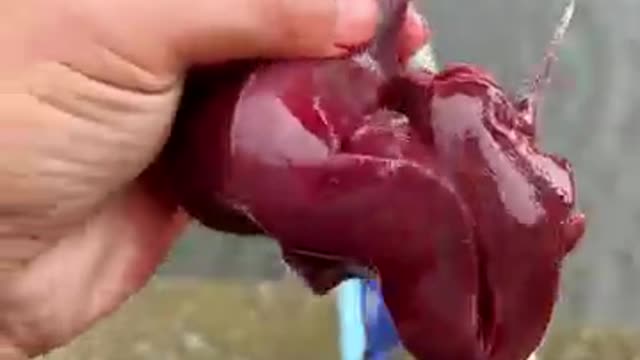 Amazing rural fishing video_Best asian fishing