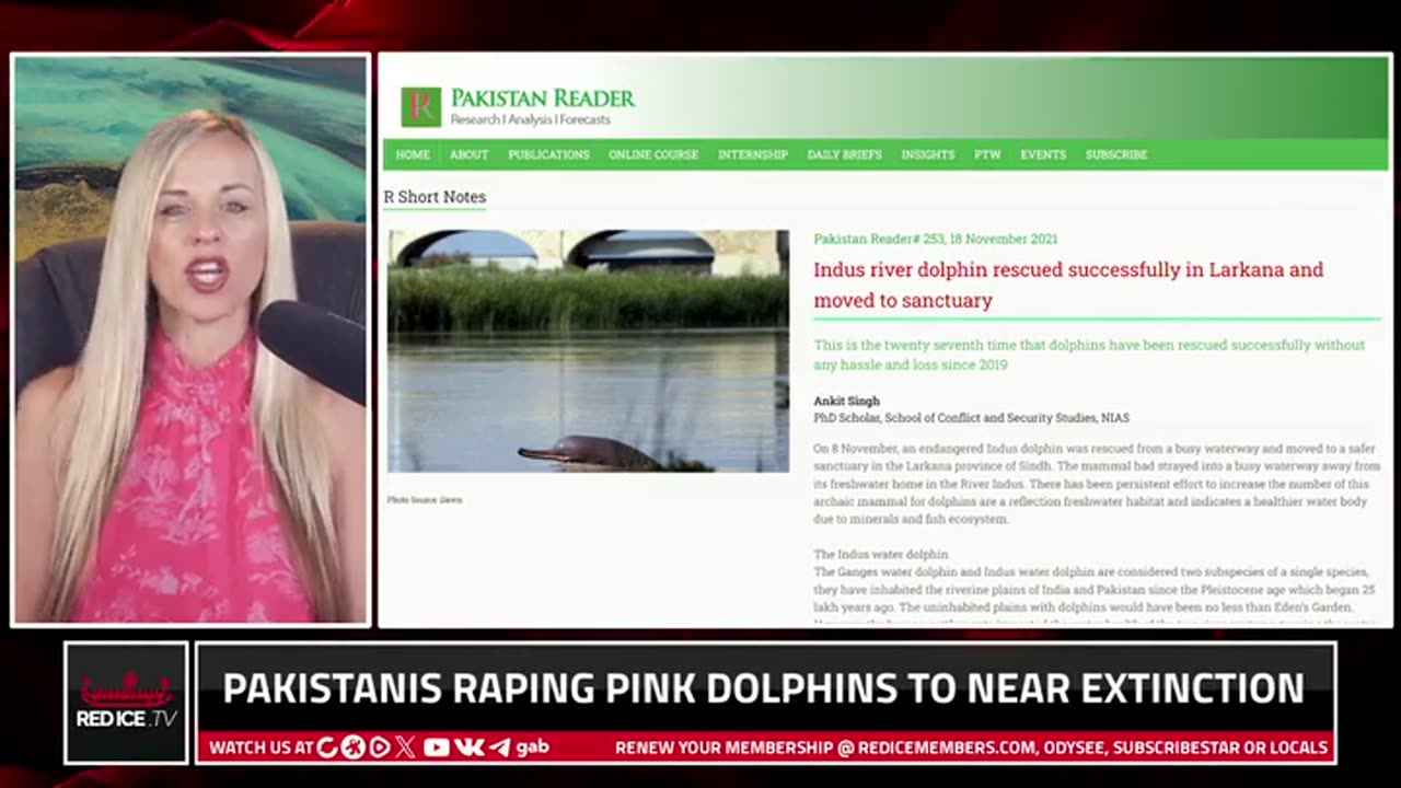 WTH?! Pakistanis Raping Pink Dolphins To Near Extinction