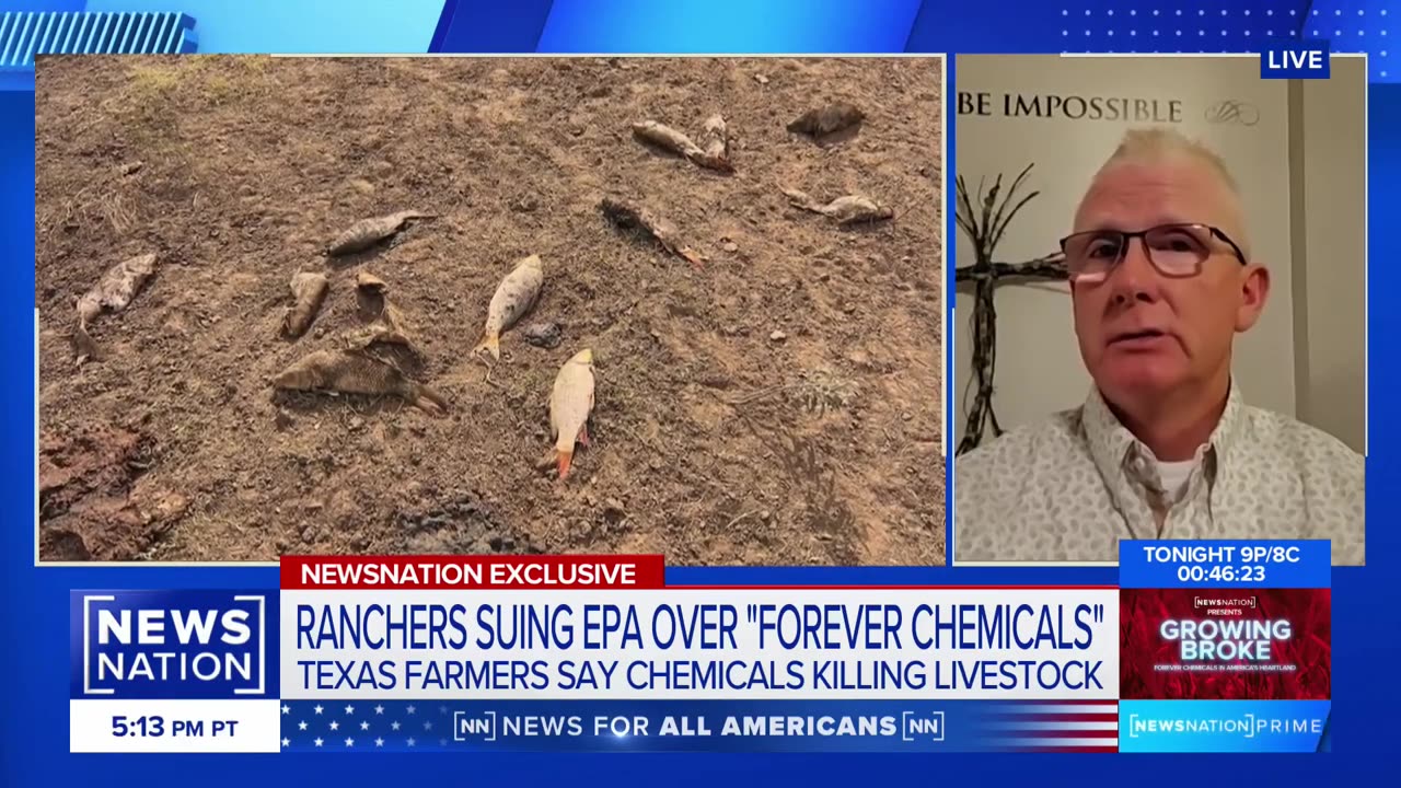 Forever chemicals killed 39 animals, ‘devastated our lives’: Texas rancher | NewsNation Prime