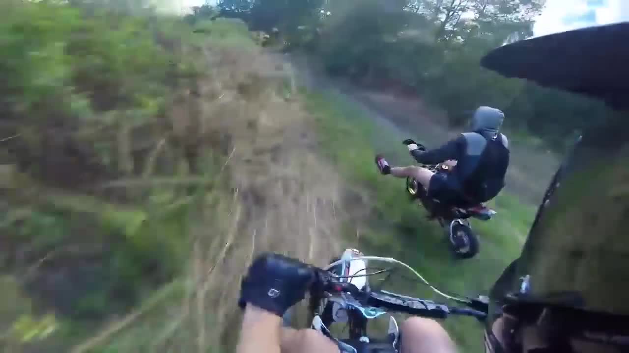 Boston Terrier-bikes