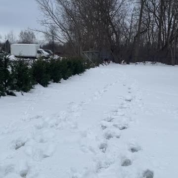 It’s just how you gotta roll round here sorry not sorry