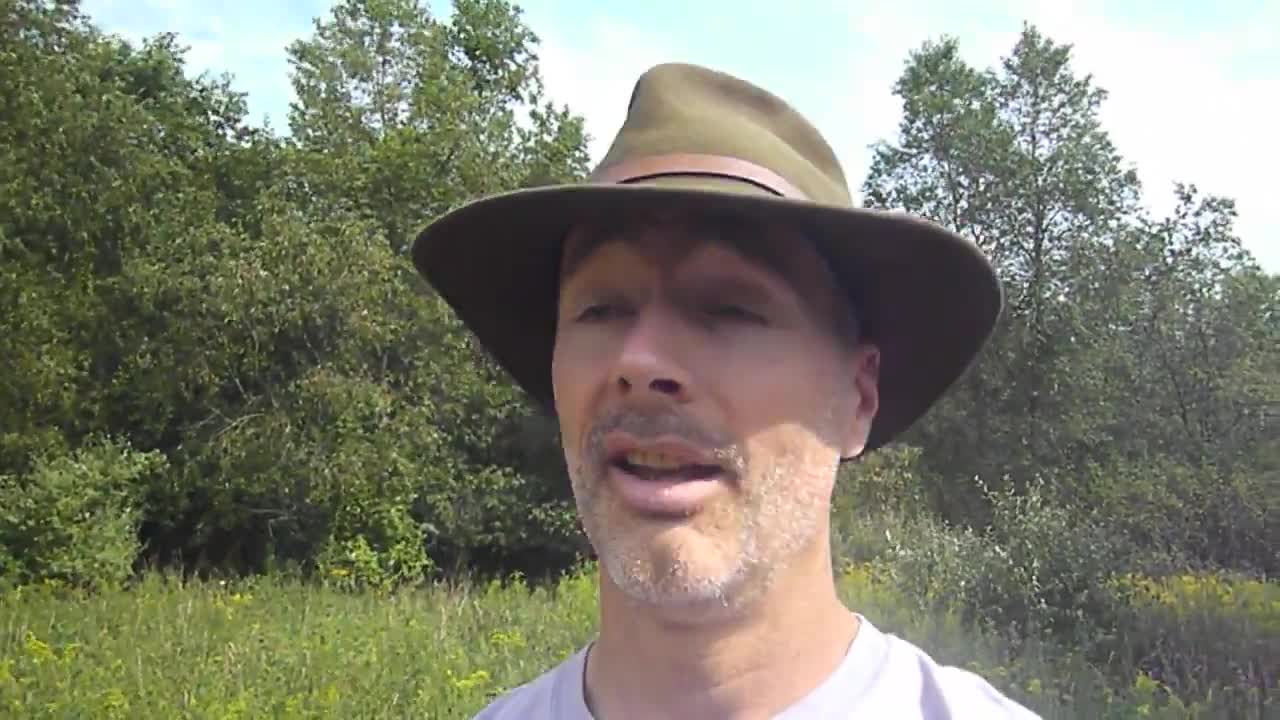 My video was deleted by YouTube: Treating Viral Lung Infections with Chinese Medicine