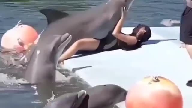 See how the dolphins and the girl themselves are having fun in the Sumin pool