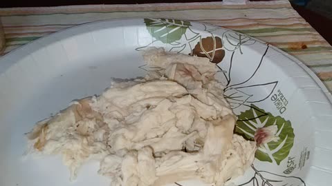 Eating Kirkland Signature Seasoned Rotisserie Chicken, Dbn, MI, 9/9/24
