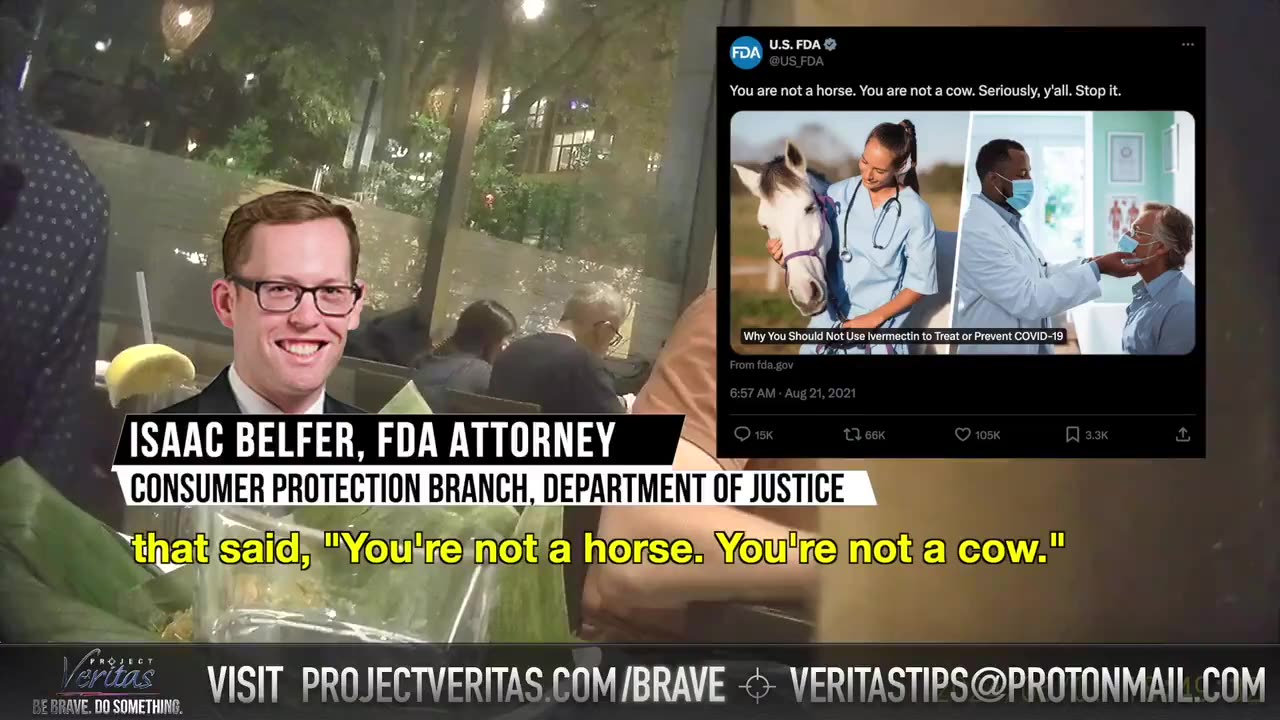 D.O.J. Admits Truth About FDA's War Against Ivermectin!