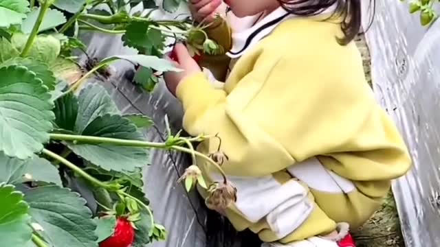 Cute baby//baby funy video//so cute baby.
