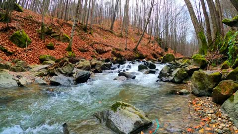 Flowing Water in a River