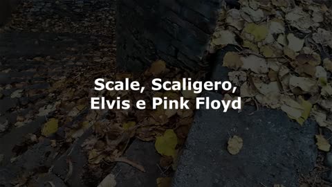 Scale, Scaligero, Elvis e Pink Floyd